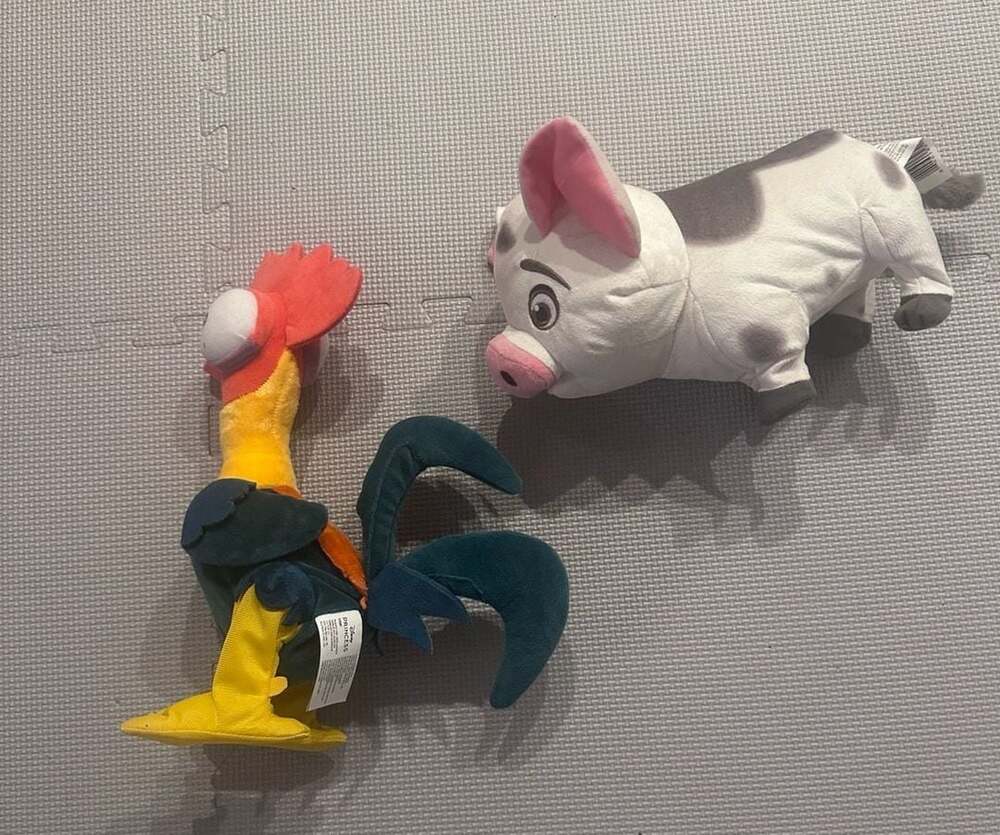 Disney Moana Hei Hei and Pua interactive Plush Set